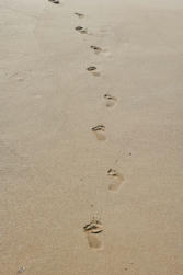 046 plage de la perle.jpg