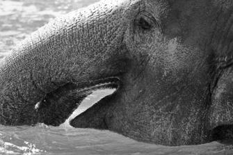 ZOO-26.jpg