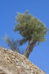 143 Hiking from Deia.jpg