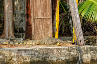 072-Bangkok.jpg