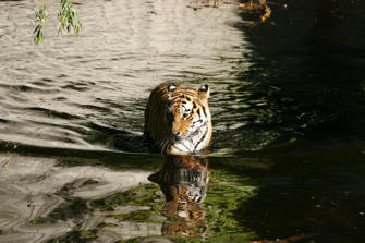 IMG_1738.JPG